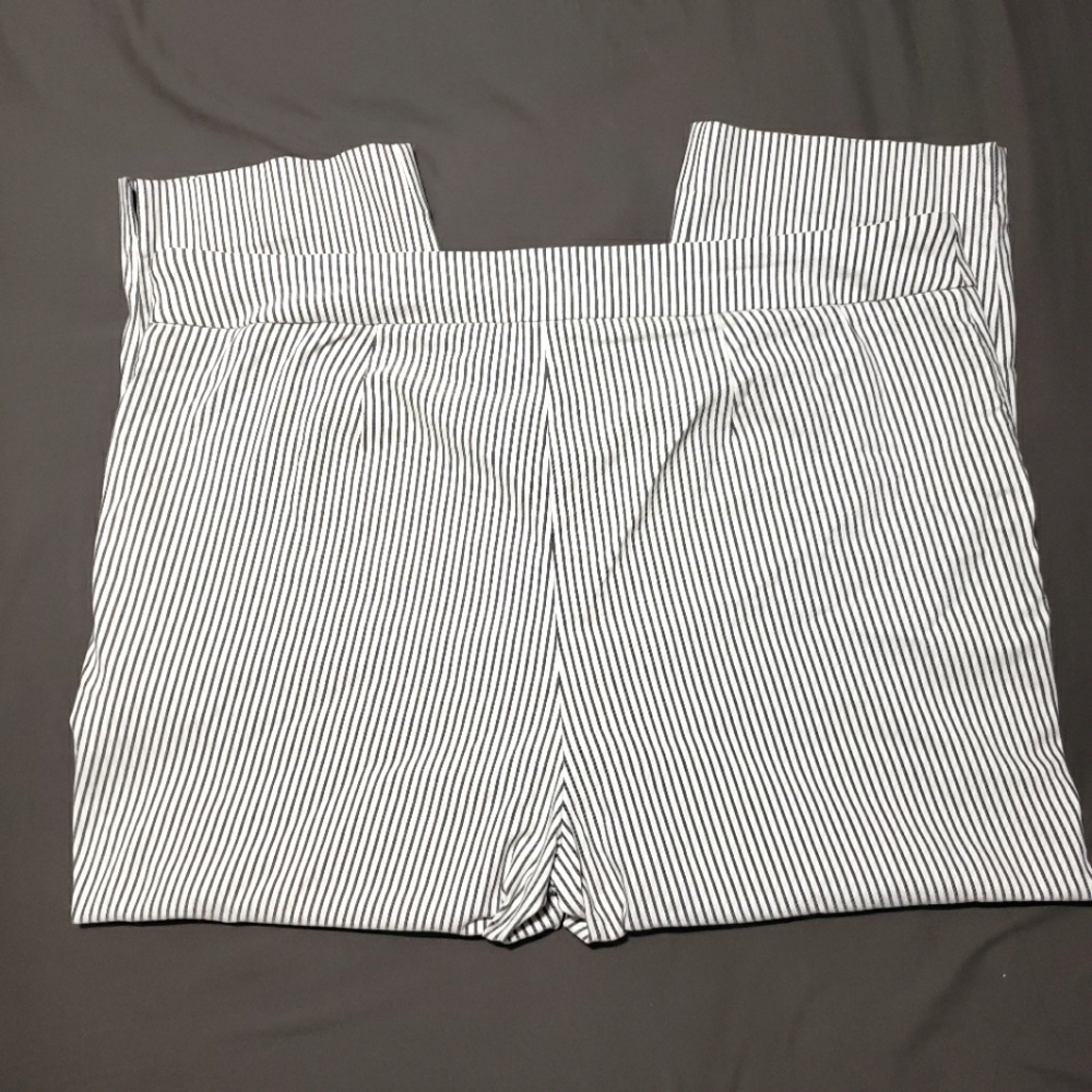 Hilary Radley striped summer ankle pants size 20